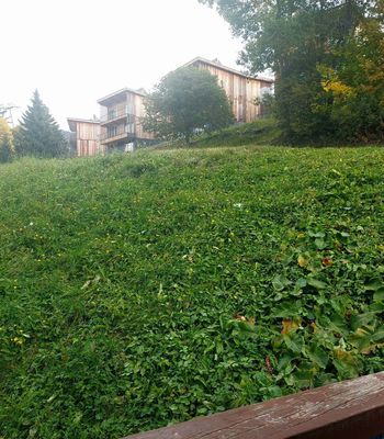  - Photo 6