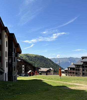 Apartment · Belle Plagne - Photo 6