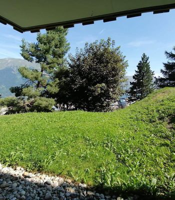  - Photo 7