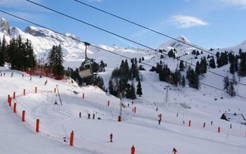  - Photo 6
