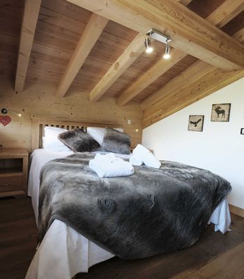 Chalet · Saint-Martin-de-Belleville - Photo 7