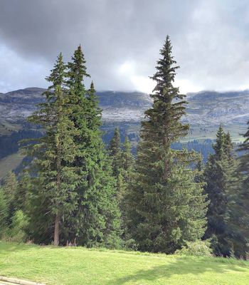 Studio · Flaine - Photo 8