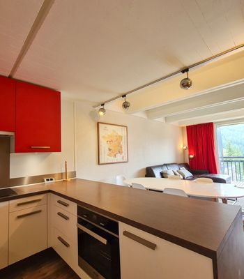 Appartement · Flaine - Photo 4