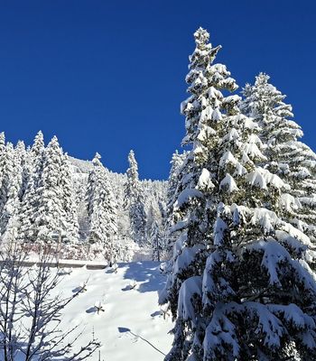Appartement · Flaine - Photo 8