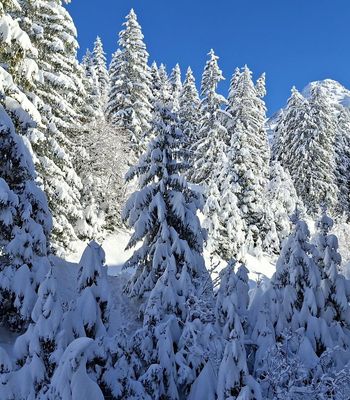 Appartement · Flaine - Photo 7