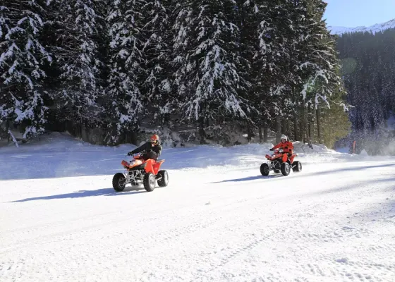 Commerces et activités